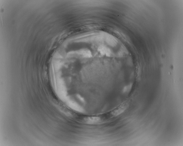 X0000077360361200611171929