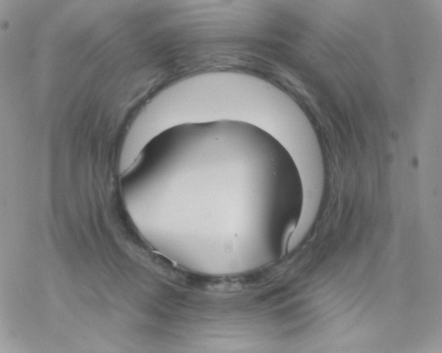 X0000077360362200611171929