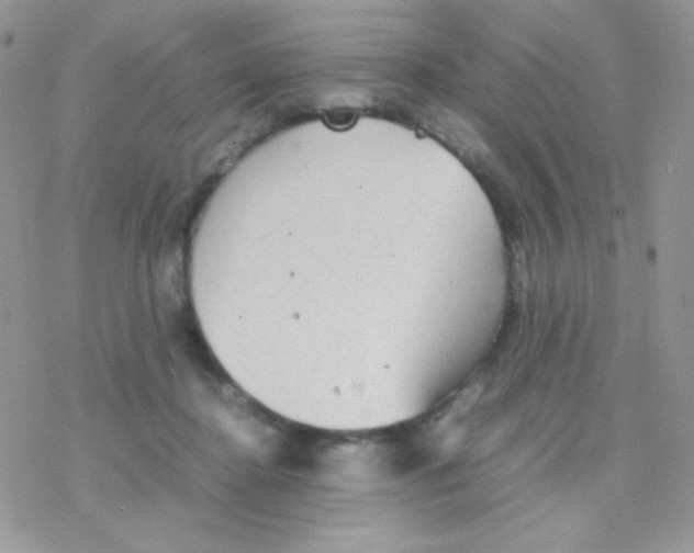 X0000077360364200611171929