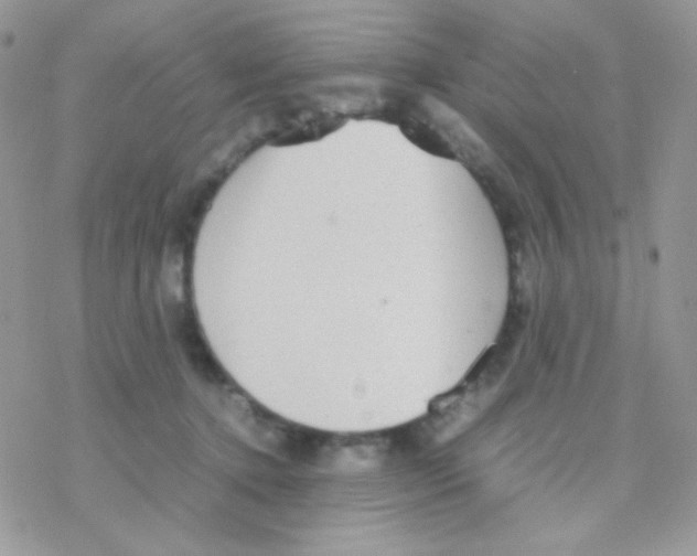 X0000077360368200611171929