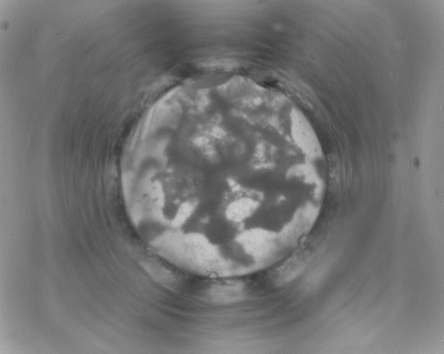 X0000077360369200611171929