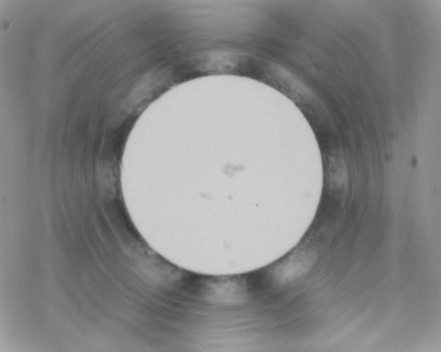 X0000077360370200611171929