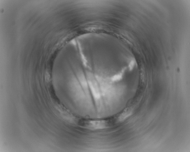 X0000077360371200611171929