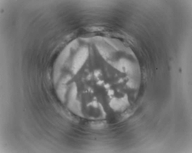 X0000077360373200611171929