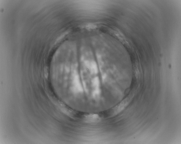 X0000077360374200611171929