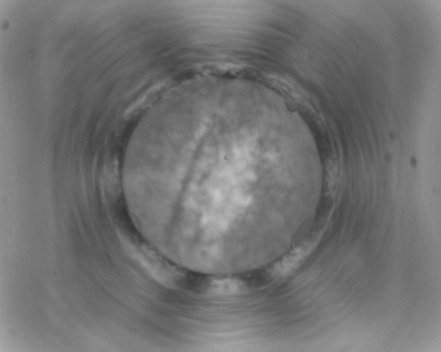 X0000077360376200611171929