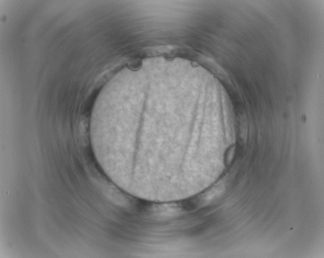 X0000077360378200611171929