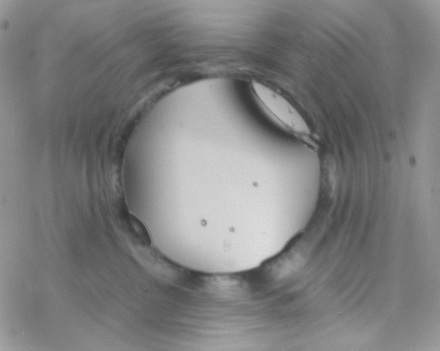 X0000077360380200611171929