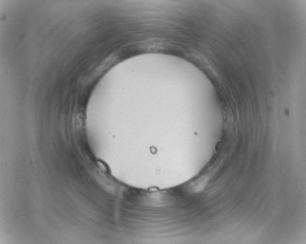 X0000077360382200611171929