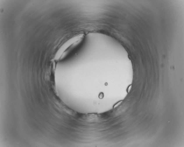 X0000077360384200611171929