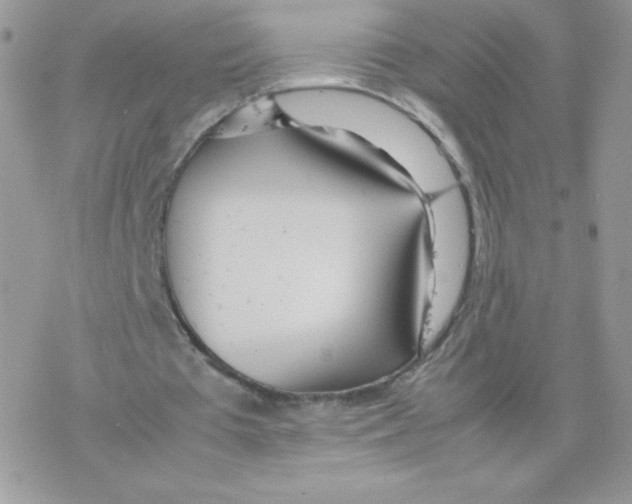 X0000077360385200611171929