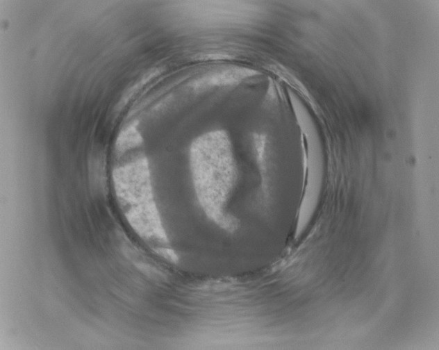 X0000077360386200611171928