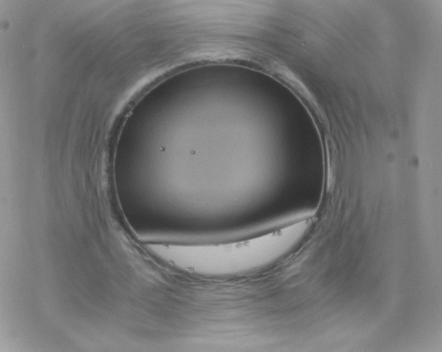 X0000077360387200611171928