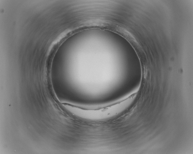 X0000077360388200611171928