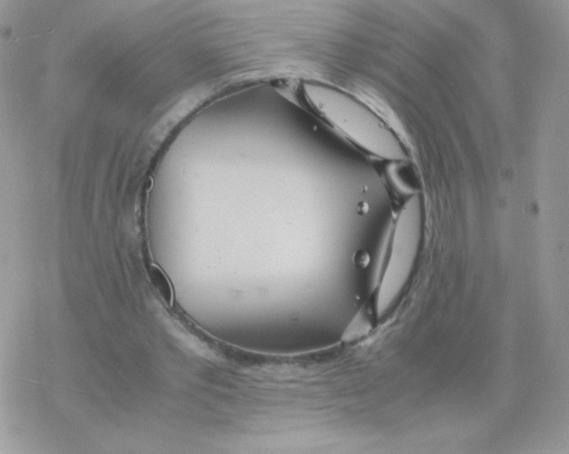 X0000077360389200611171928