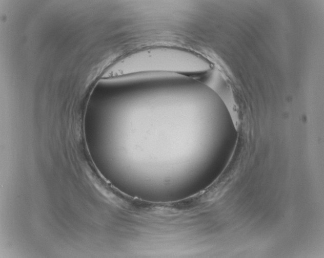 X0000077360393200611171928