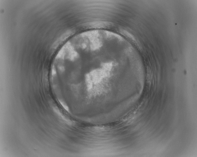 X0000077360394200611171928