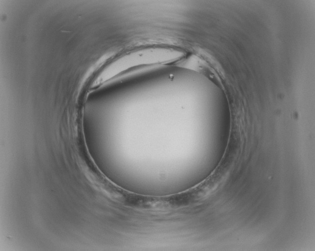 X0000077360395200611171928