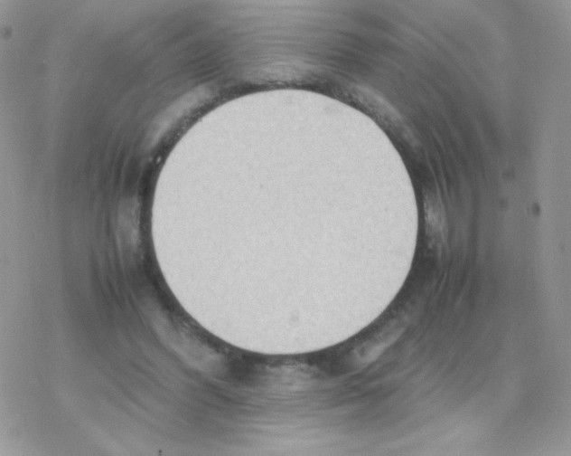 X0000077360396200611171928