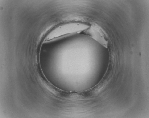 X0000077360399200611171928