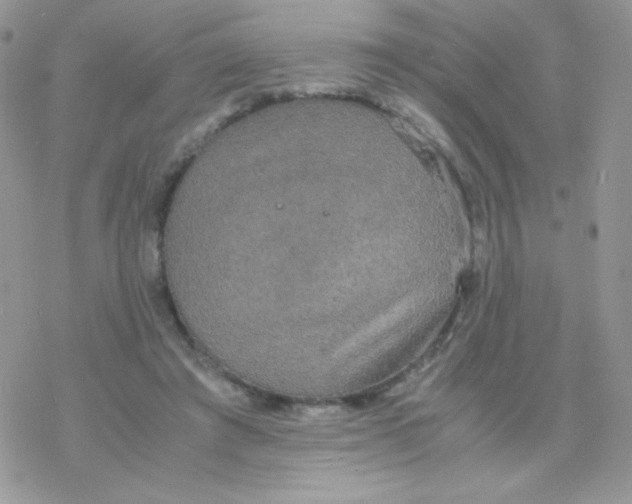 X0000077360401200611171928