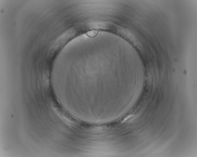 X0000077360402200611171928