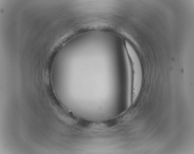 X0000077360403200611171928