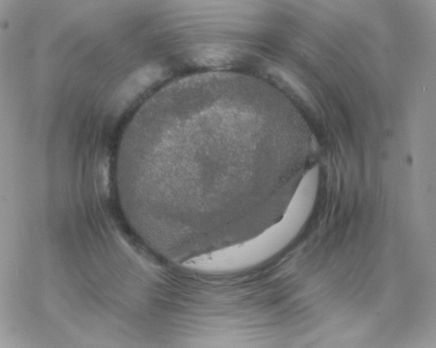 X0000077360404200611171928