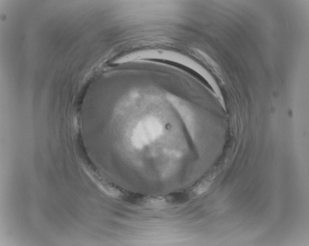 X0000077360405200611171928