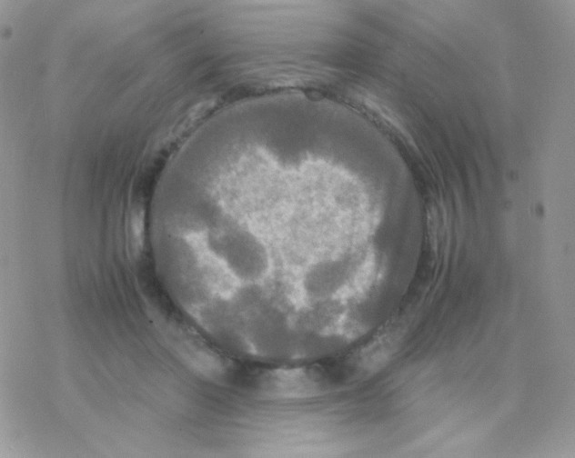 X0000077360406200611171928