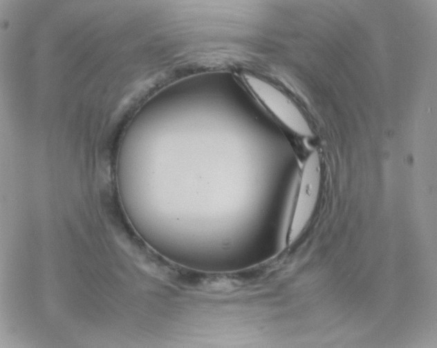 X0000077360407200611171928