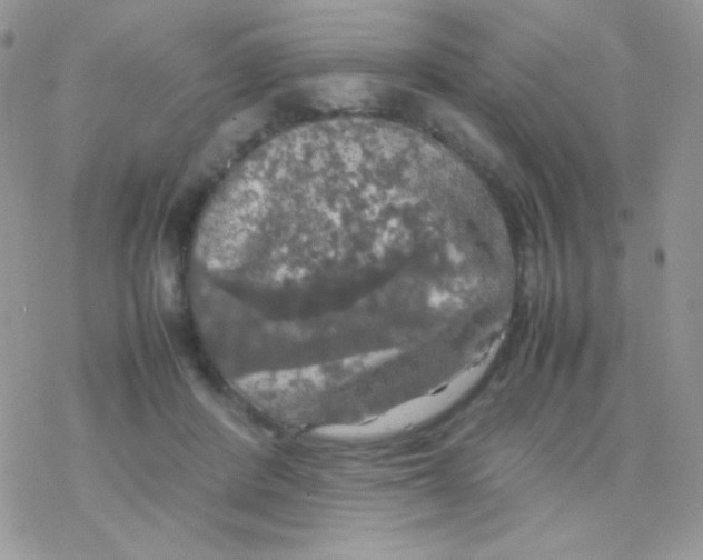 X0000077360408200611171928