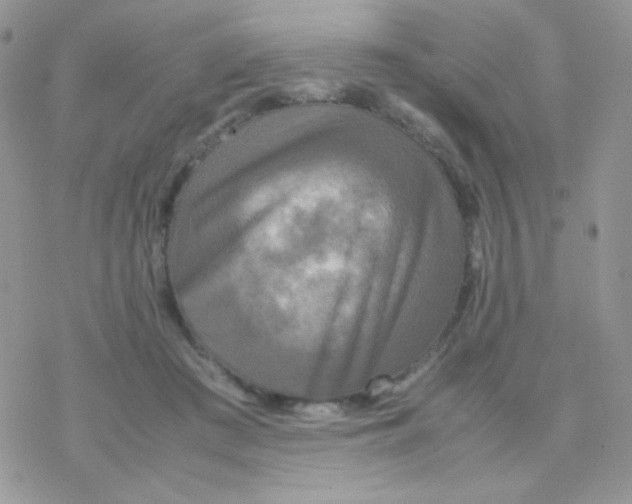 X0000077360409200611171928