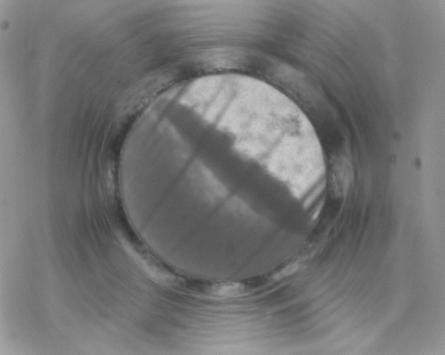 X0000077360410200611171928