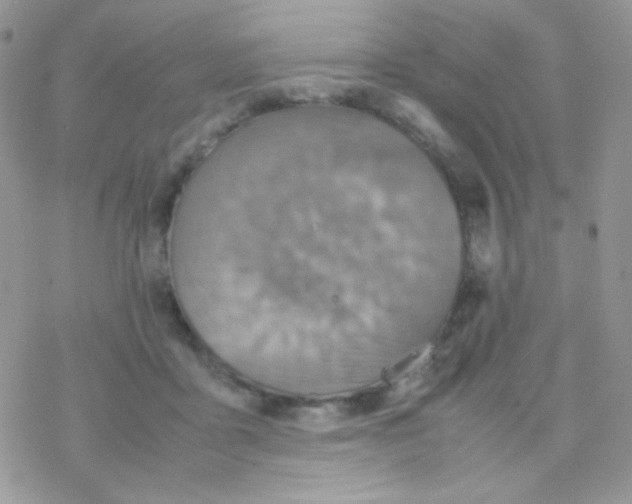 X0000077360411200611171928