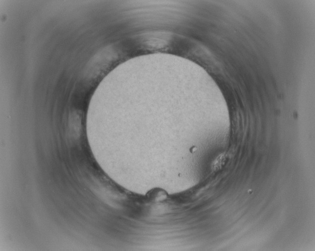 X0000077360412200611171928