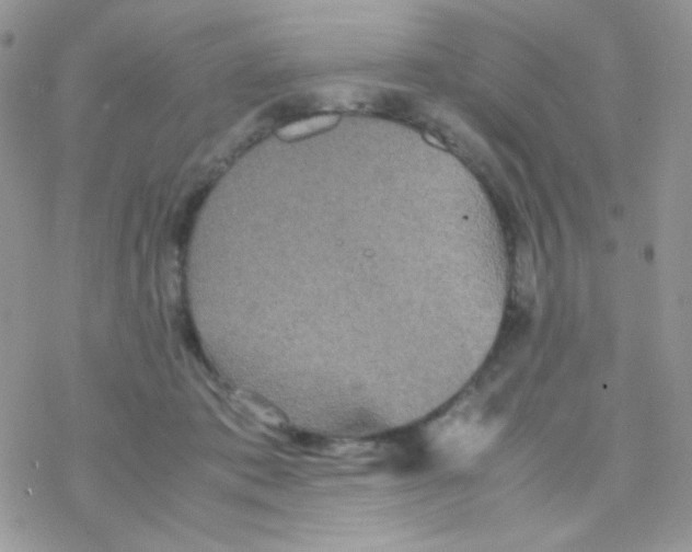 X0000077360413200611171928