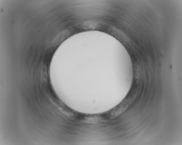 X0000077360414200611171928