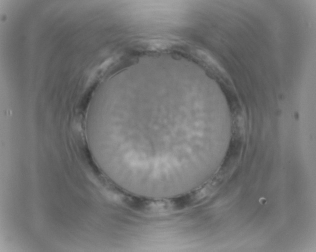 X0000077360415200611171928