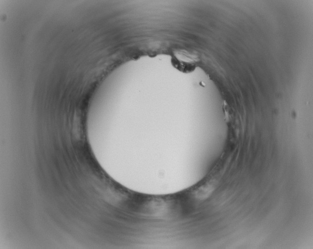 X0000077360416200611171928