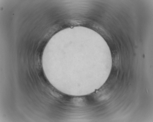 X0000077360418200611171928