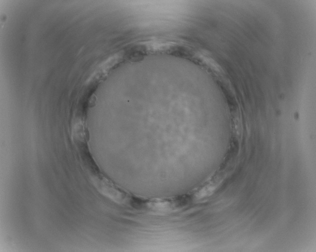 X0000077360419200611171928