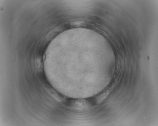 X0000077360420200611171928