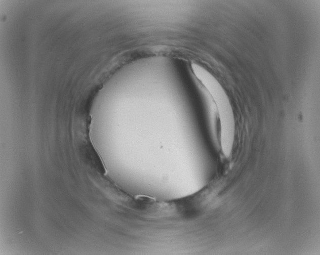 X0000077360421200611171928