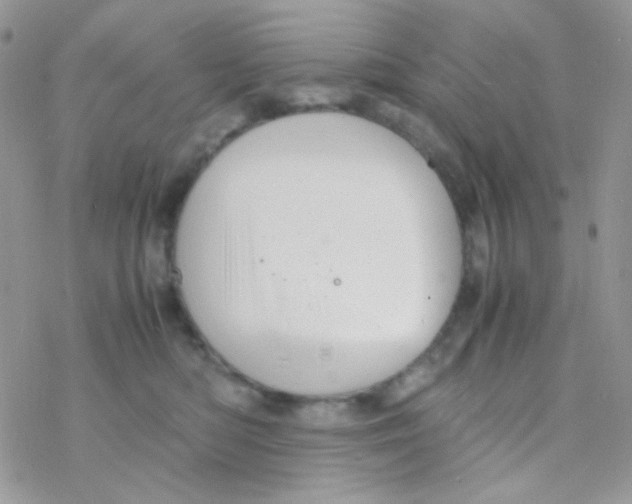 X0000077360422200611171928