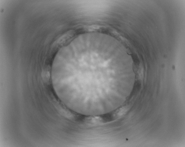 X0000077360427200611171928