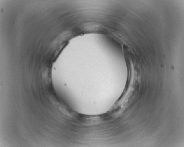 X0000077360428200611171928