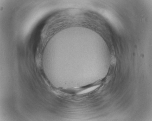 X0000077360431200611171928