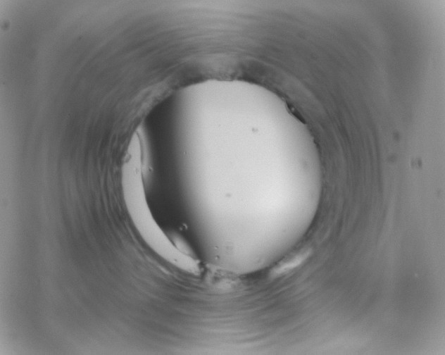 X0000077360432200611171928