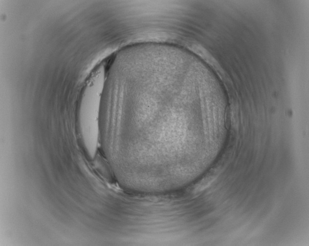 X0000077360434200611171927